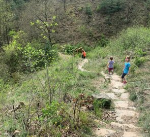 Descent into the valley of the Jihlava River