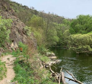 Trail around Jihlava