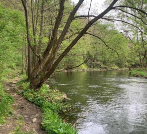 The road to the Mohelen Mill