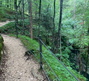 Railings around the canyon