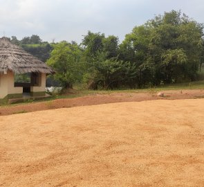 View of the parking lot and shelter at the waterfall