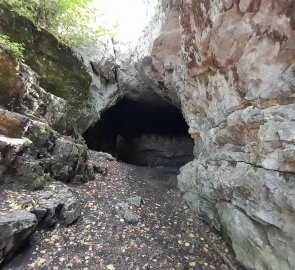 Cave Švédský stůl