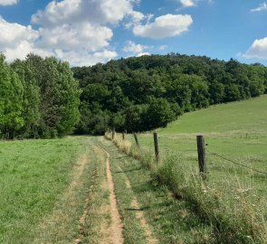 Field road from the village