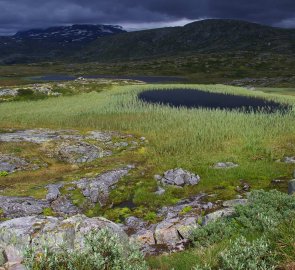 Turistika k chatě Kjeldebu v národním parku Hardangervidda