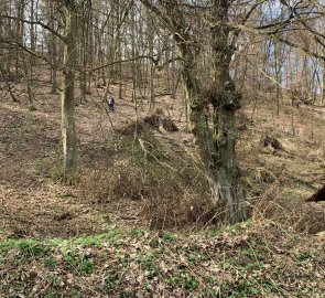 A steep descent through the forest