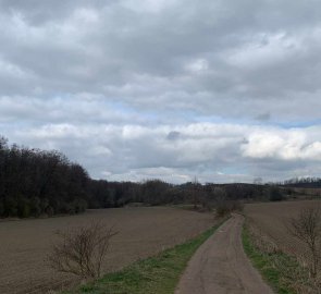 The road to the ruins of Okoř Castle