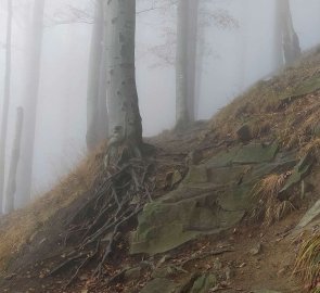 Stezka zpět byla opět v inverzi