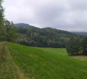 The initial part of the ascent leads through meadows