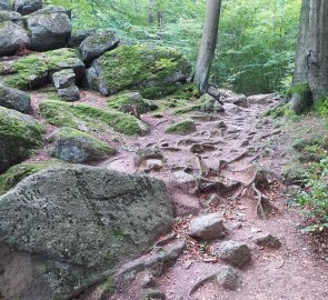 Stony path to the top of Ořešník