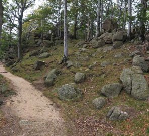 The road to Ořešník