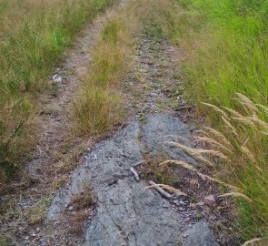 Cesta se postupně zužuje na stezku