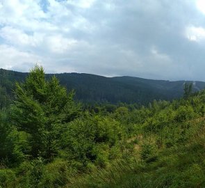 Pohled na hřeben Orlických hor