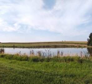 Krajina u Radostína nad Oslavou