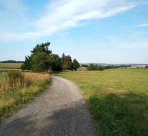 Polní cesta za Radostínem nad Oslavou