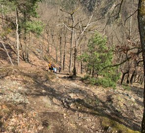 Steep descent into the valley of the Oslava River