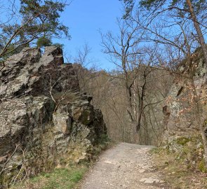 The wide path back from the Oslava River