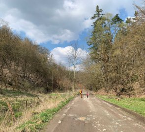 Wide path to the river Oslava