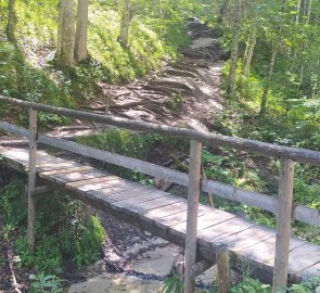 Footbridge on the way to the canyon