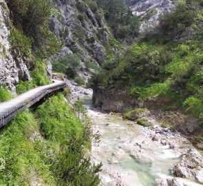 The trail in the gorge