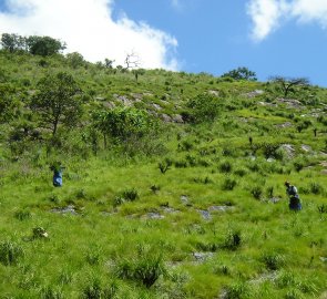 Cesta v údolí k vodopádu Mantenga Falls