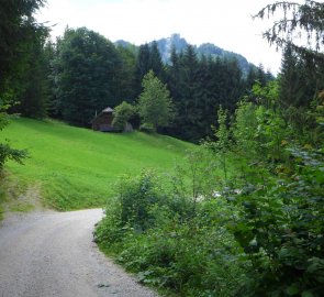 Lesní cesta kolem jezera Schwarzensee v pohoří Solné Komory