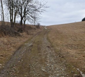 Na polní cestě kousek pod vyhlídkou Rovinka na Hanušovické vrchovině