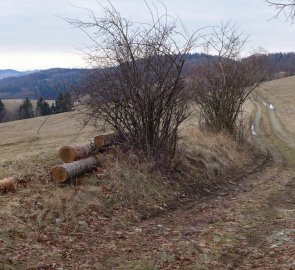 Pohled od vyhlídky Rovinka směrem na žlutou značku, kterou se budeme vracet zpět