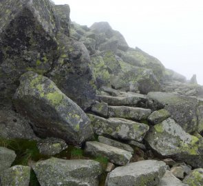 Kamenitá cesta na Chopok 2 024 m n. m. od Kamenné chaty pod Chopkom