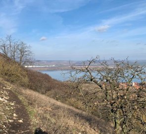 Trail along the slopes of Pálava back to Klentnice