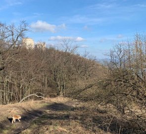 Trail to Děvičky Castle