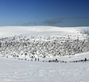 View of the valley in which the Rautulampi cabin is located