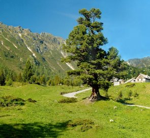 Cesta od parkoviště k salaším Edelraute Hütte