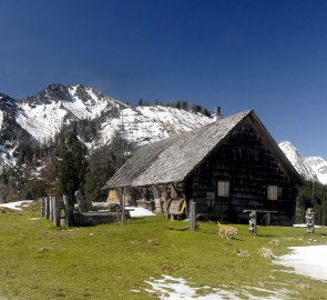 Salaše Seisen Alm v sedle Admonter Höhe