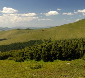 Pohled na nejvyšší horu pohoří Suhard - Vf. Omu 1 932 m n. m.