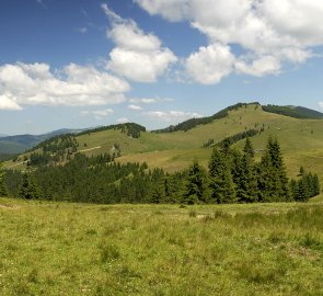 Krajina u hory M. Tarnita 1 542 m n. m.