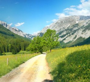 The road in the Seetal Valley from the mountains to the village of Seewiesen