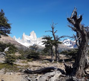 On the way to Lago de los Tres