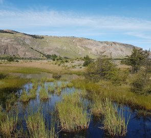 Wetlands on the way under Fitz Roy