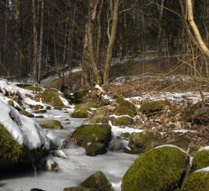 Zamrzlý Ochozský potok