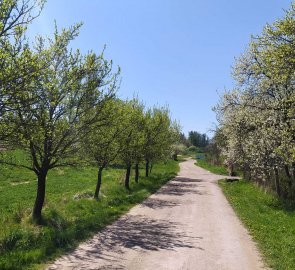 Cesta kolem zahrádkářské kolonie