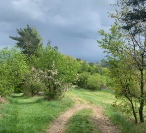 A dirt road, the clouds were getting dangerously black