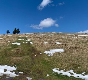 A wide path through the meadows