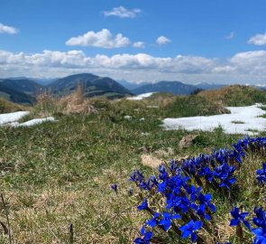 Spring is coming to the mountains