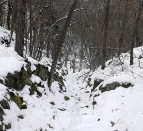 Nejprudší část cesty k řece Dyji - NP Podyjí