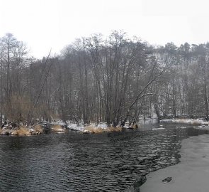 Řeka Dyje z visuté lávky