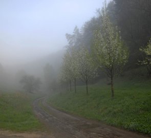 Cesta z Vojtěchova na Jestřebické pokličky