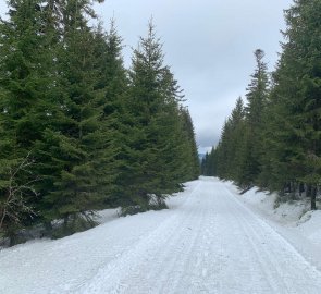 Wide road to Polednik