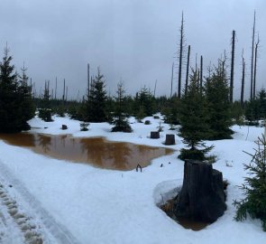 Lakes created by rapid snowmelt