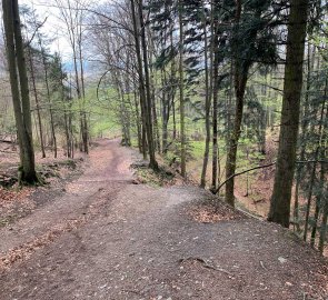 Steep ascent in the forest