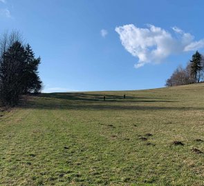 The way back through the meadows